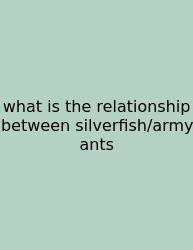 What Is The Relationship Between Silverfish/army Ants