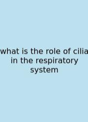 What Is The Role Of Cilia In The Respiratory System