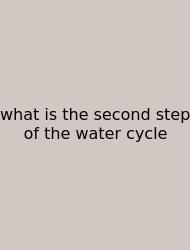 What Is The Second Step Of The Water Cycle
