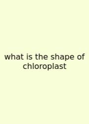 What Is The Shape Of Chloroplast