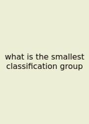 What Is The Smallest Classification Group