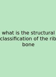 What Is The Structural Classification Of The Rib Bone