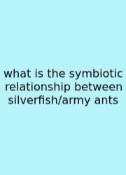 What Is The Symbiotic Relationship Between Silverfish/army Ants