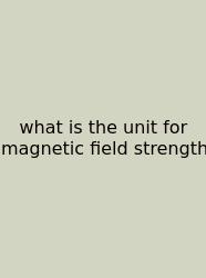 What Is The Unit For Magnetic Field Strength