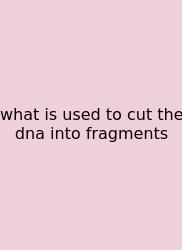 What Is Used To Cut The Dna Into Fragments