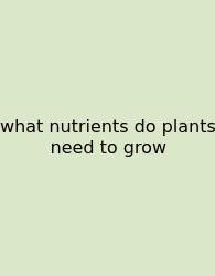 What Nutrients Do Plants Need To Grow