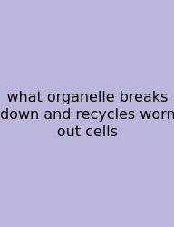 What Organelle Breaks Down And Recycles Worn Out Cells
