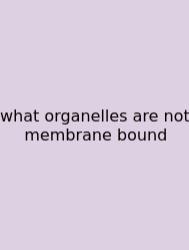 What Organelles Are Not Membrane Bound