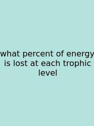 What Percent Of Energy Is Lost At Each Trophic Level