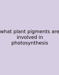 What Plant Pigments Are Involved In Photosynthesis