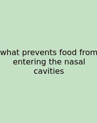 What Prevents Food From Entering The Nasal Cavities