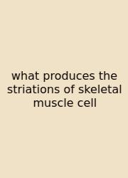 What Produces The Striations Of Skeletal Muscle Cell
