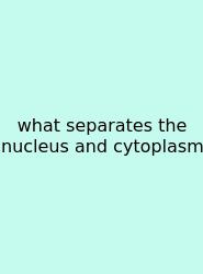 What Separates The Nucleus And Cytoplasm