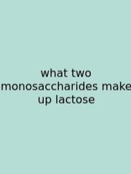 What Two Monosaccharides Make Up Lactose