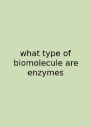 What Type Of Biomolecule Are Enzymes
