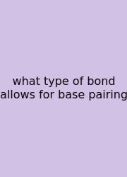What Type Of Bond Allows For Base Pairing