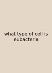 What Type Of Cell Is Eubacteria