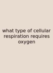 What Type Of Cellular Respiration Requires Oxygen
