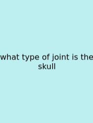 What Type Of Joint Is The Skull