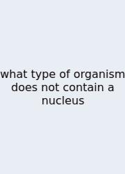 What Type Of Organism Does Not Contain A Nucleus