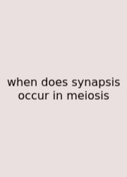 When Does Synapsis Occur In Meiosis
