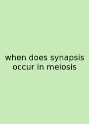 When Does Synapsis Occur In Meiosis