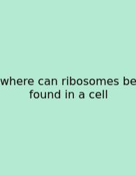 Where Can Ribosomes Be Found In A Cell