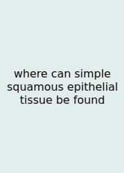 Where Can Simple Squamous Epithelial Tissue Be Found