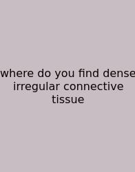 Where Do You Find Dense Irregular Connective Tissue