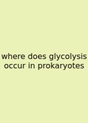 Where Does Glycolysis Occur In Prokaryotes