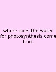 Where Does The Water For Photosynthesis Come From