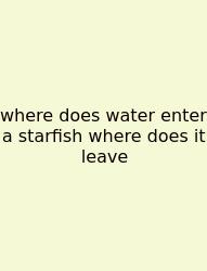 Where Does Water Enter A Starfish Where Does It Leave