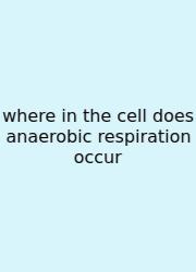 Where In The Cell Does Anaerobic Respiration Occur