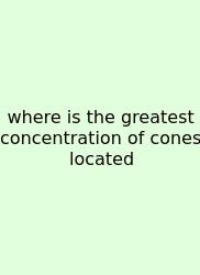 Where Is The Greatest Concentration Of Cones Located