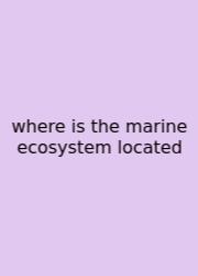 Where Is The Marine Ecosystem Located