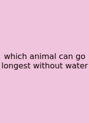 Which Animal Can Go Longest Without Water