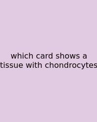 Which Card Shows A Tissue With Chondrocytes