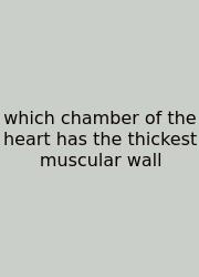 Which Chamber Of The Heart Has The Thickest Muscular Wall