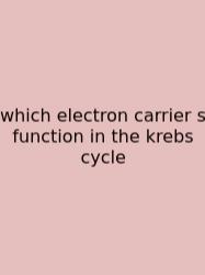 Which Electron Carrier S Function In The Krebs Cycle