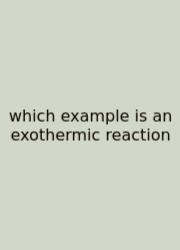 Which Example Is An Exothermic Reaction