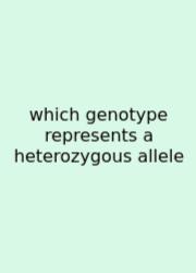 Which Genotype Represents A Heterozygous Allele