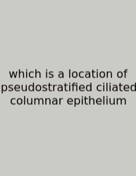 Which Is A Location Of Pseudostratified Ciliated Columnar Epithelium