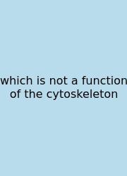 Which Is Not A Function Of The Cytoskeleton