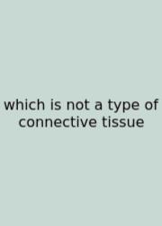 Which Is Not A Type Of Connective Tissue