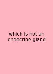 Which Is Not An Endocrine Gland