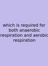 Which Is Required For Both Anaerobic Respiration And Aerobic Respiration
