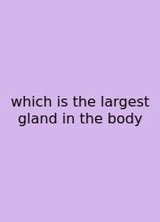Which Is The Largest Gland In The Body