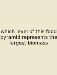 Which Level Of This Food Pyramid Represents The Largest Biomass