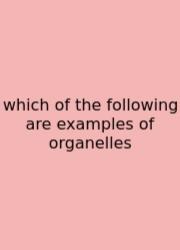 Which Of The Following Are Examples Of Organelles