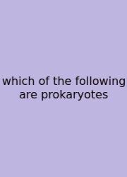 Which Of The Following Are Prokaryotes